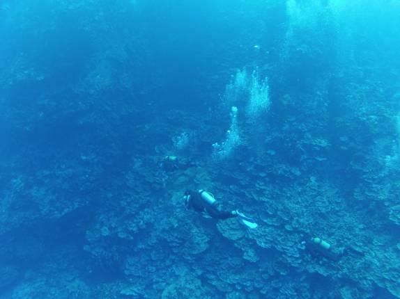 Explorando uma enorme parede com mais de 40 metros de altura durante mergulho na Ilha da Páscoa, território chileno no meio do Oceano Pacífico